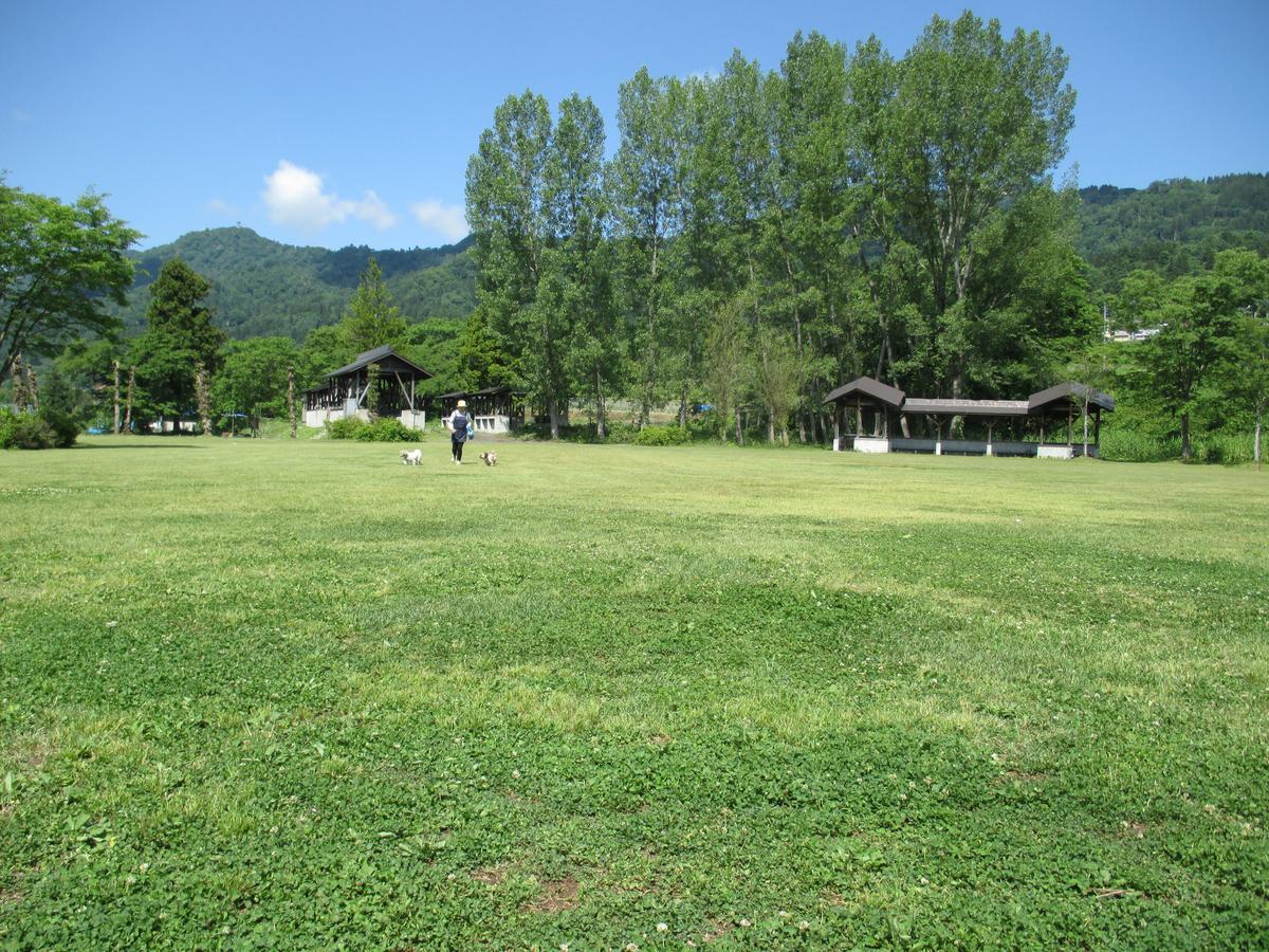 Hotel Alpen Plaza Iiyama Exterior foto